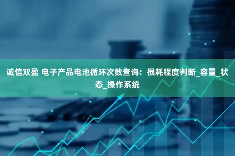 诚信双盈 电子产品电池循环次数查询：损耗程度判断_容量_状态_操作系统