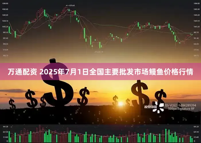 万通配资 2025年7月1日全国主要批发市场鳗鱼价格行情