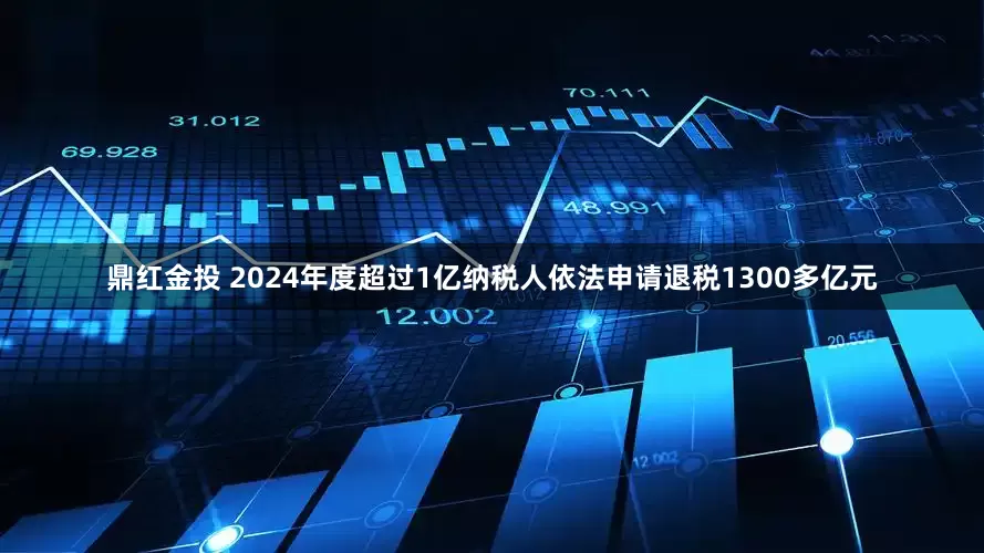 鼎红金投 2024年度超过1亿纳税人依法申请退税1300多亿元