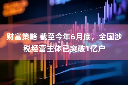 财富策略 截至今年6月底，全国涉税经营主体已突破1亿户