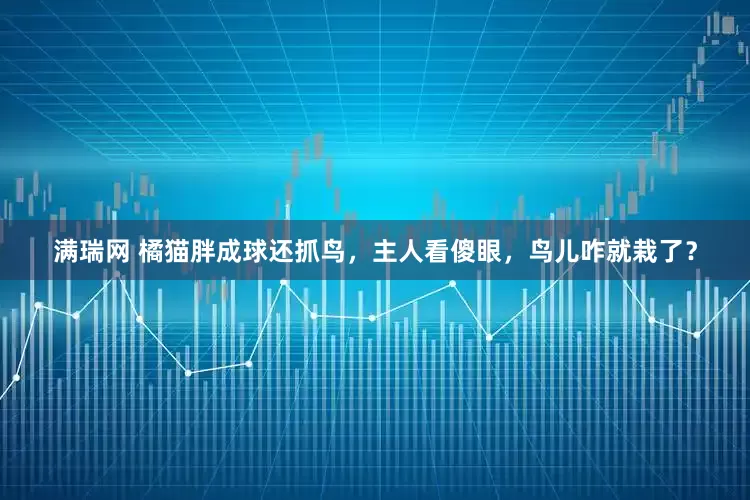 满瑞网 橘猫胖成球还抓鸟，主人看傻眼，鸟儿咋就栽了？