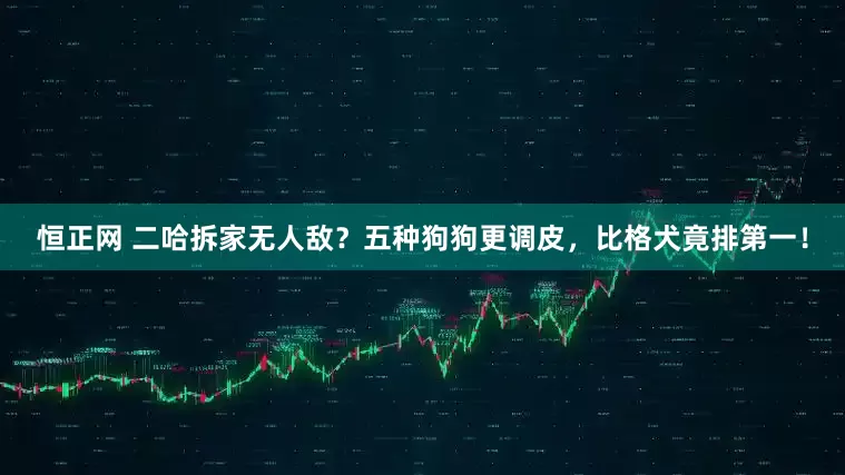恒正网 二哈拆家无人敌？五种狗狗更调皮，比格犬竟排第一！
