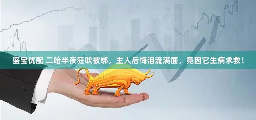 盛宝优配 二哈半夜狂吠被绑，主人后悔泪流满面，竟因它生病求救！