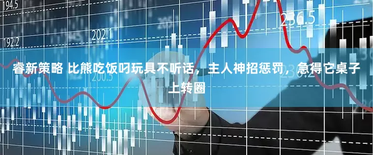 睿新策略 比熊吃饭叼玩具不听话，主人神招惩罚，急得它桌子上转圈