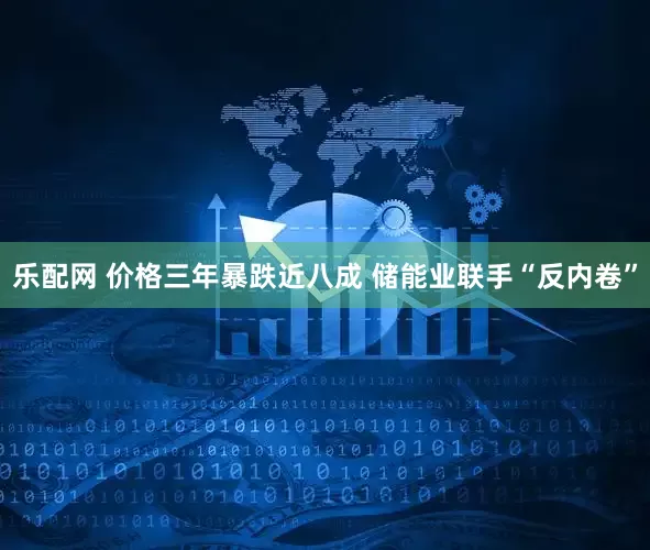 乐配网 价格三年暴跌近八成 储能业联手“反内卷”