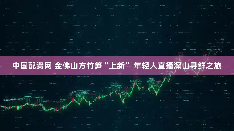 中国配资网 金佛山方竹笋“上新” 年轻人直播深山寻鲜之旅